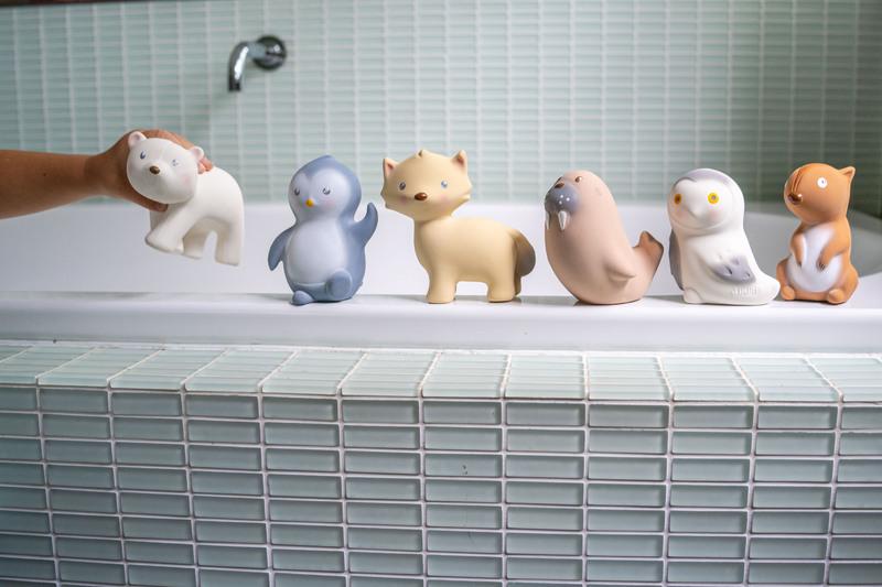 Bath Toys & Accessories