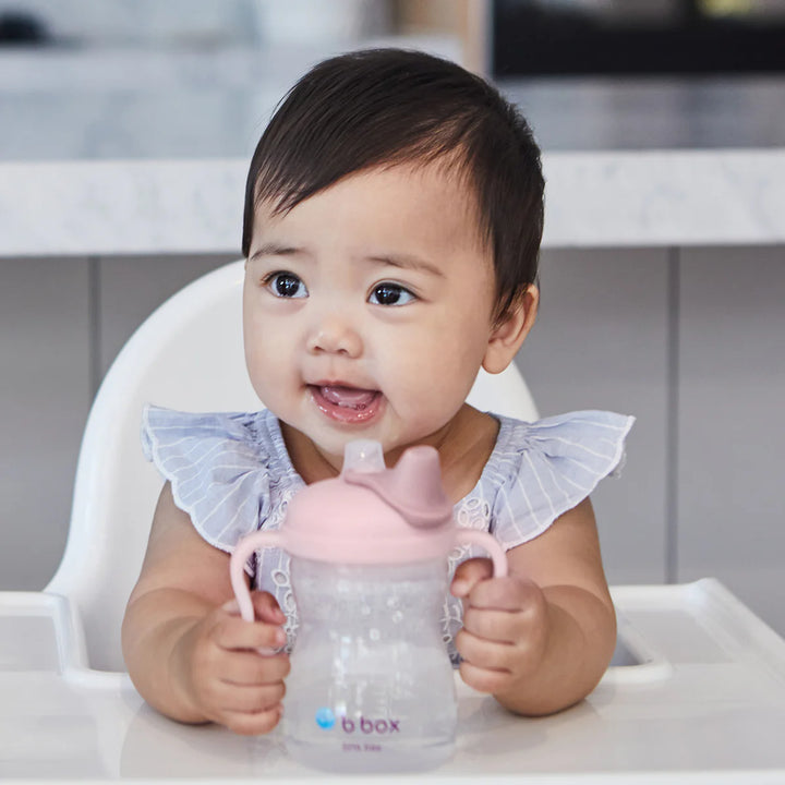 bbox Spout Cup 240ml - Blush