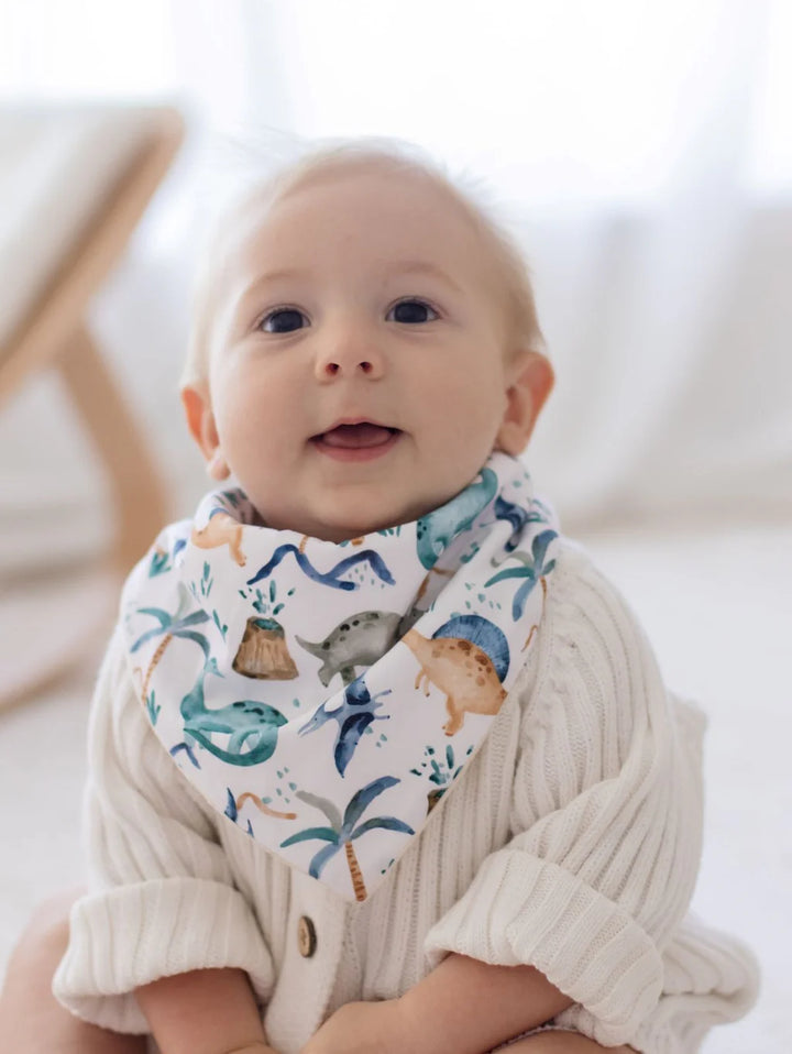 Bambella Bandana Bibs 2 Pack | Wild Dinosaurs & Storm