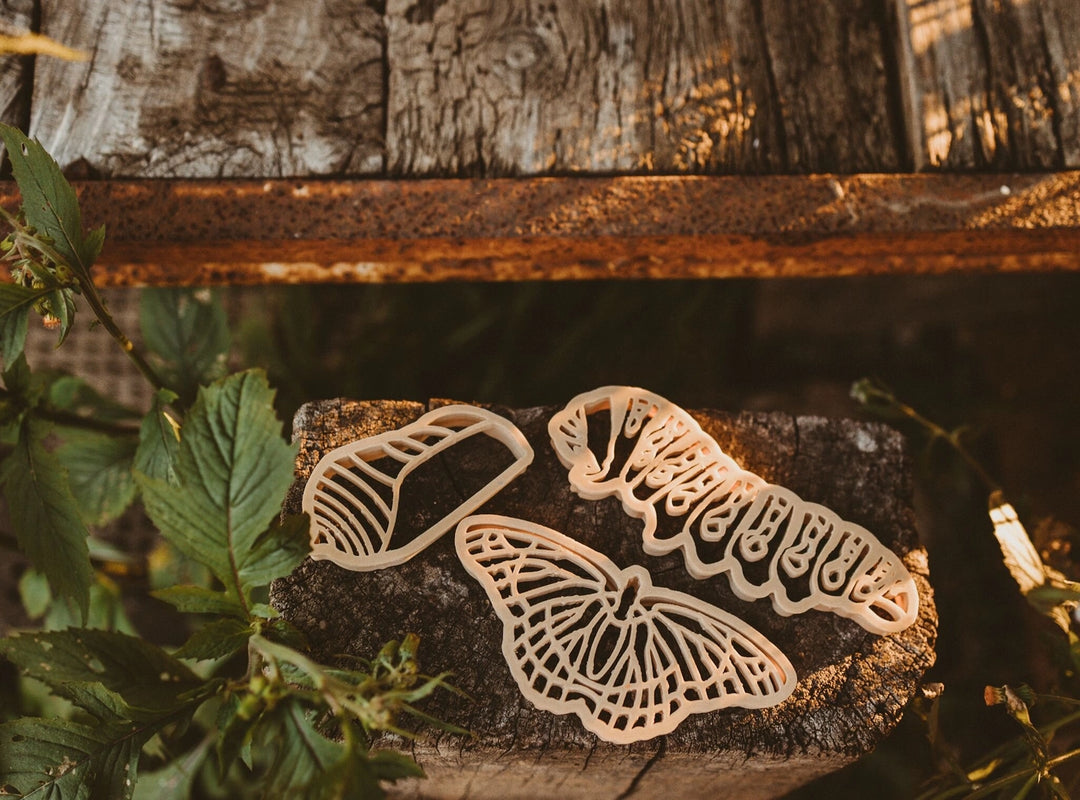 Butterfly Life Cycle Playdough/Sensory Play Eco Cutter™ Set