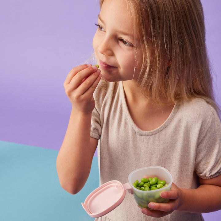 bbox Lunchbox Snack Tubs Set of 3 - Assorted