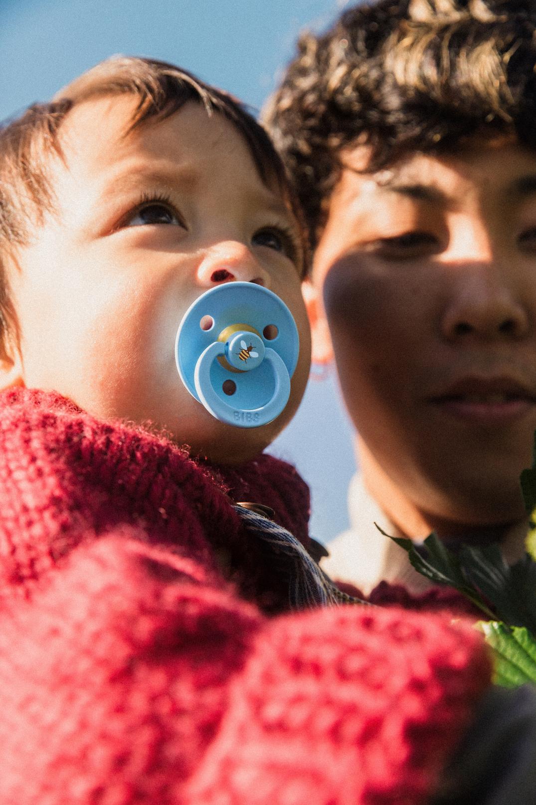 BIBS Size 1 & 2 Urban Garden Latex Round Dummies Twin Packs