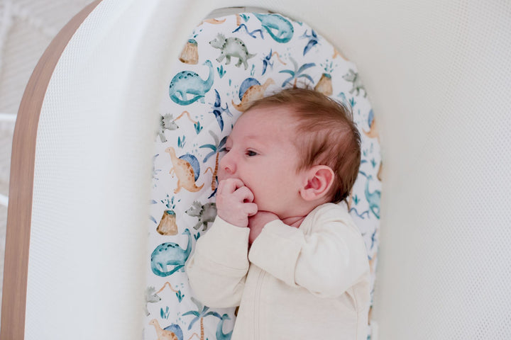 Bambella Waterproof Moses Bassinet Sheet | Wild Dinosaurs
