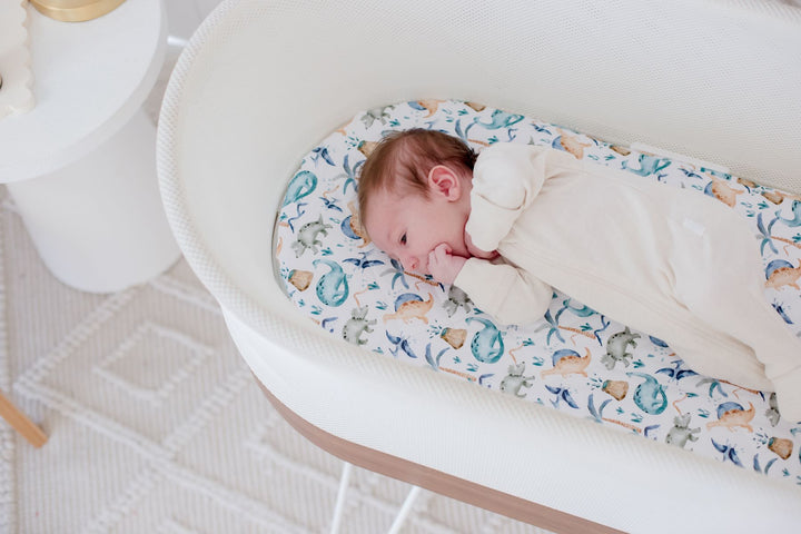 Bambella Waterproof Moses Bassinet Sheet | Wild Dinosaurs