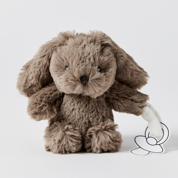 Bunny Plush Toy & Dummy Holder - Assorted