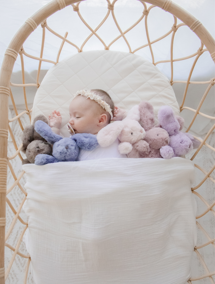 Bunny Plush Toy & Dummy Holder - Assorted