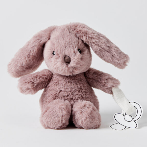 Bunny Plush Toy & Dummy Holder - Assorted