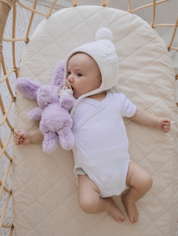 Bunny Plush Toy & Dummy Holder - Assorted