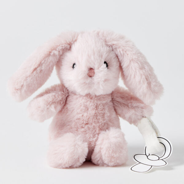 Bunny Plush Toy & Dummy Holder - Assorted