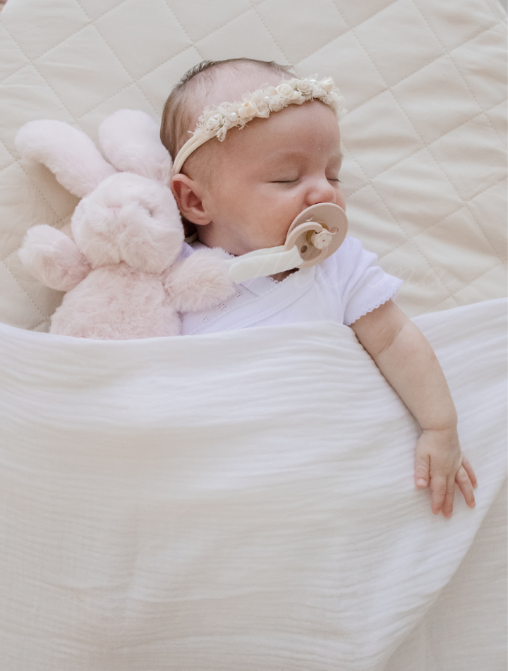 Bunny Plush Toy & Dummy Holder - Assorted