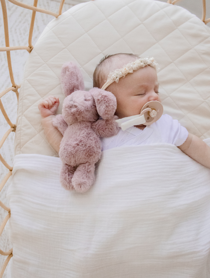 Bunny Plush Toy & Dummy Holder - Assorted