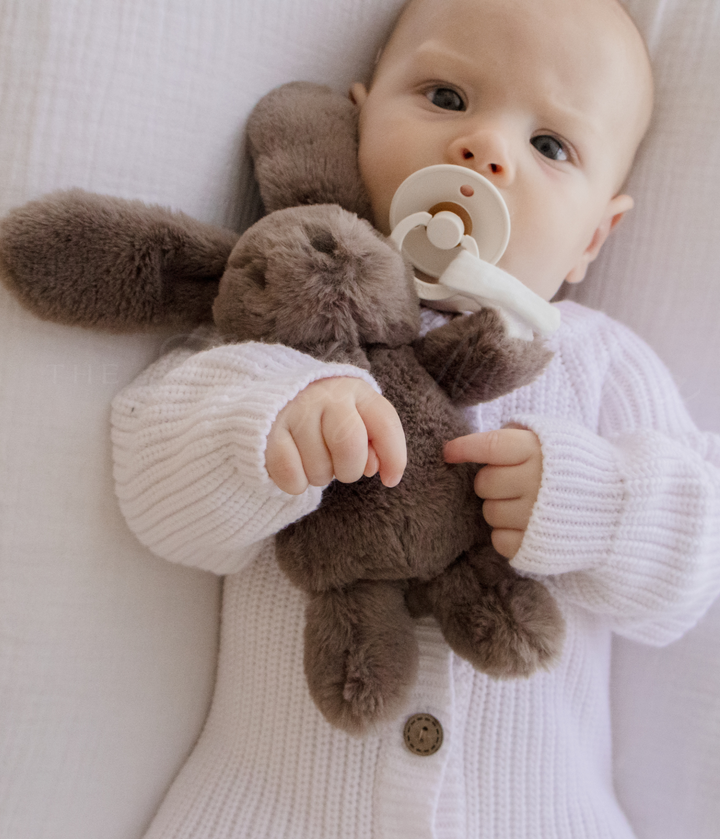 Bunny Plush Toy & Dummy Holder - Assorted