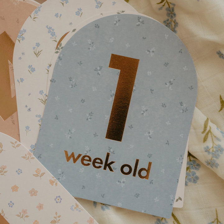 Fox & Fallow’s Baby Milestone Cards  - Broderie