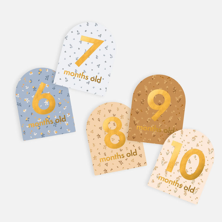 Fox & Fallow’s Baby Milestone Cards  - Broderie