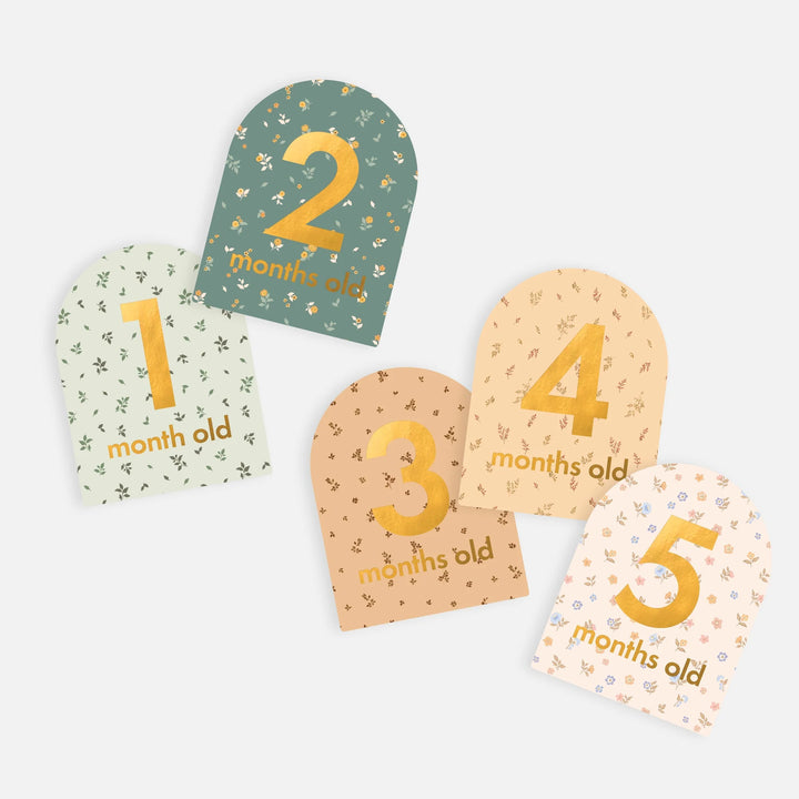 Fox & Fallow’s Baby Milestone Cards  - Broderie