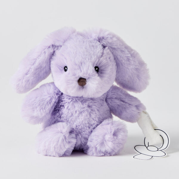 Bunny Plush Toy & Dummy Holder - Assorted