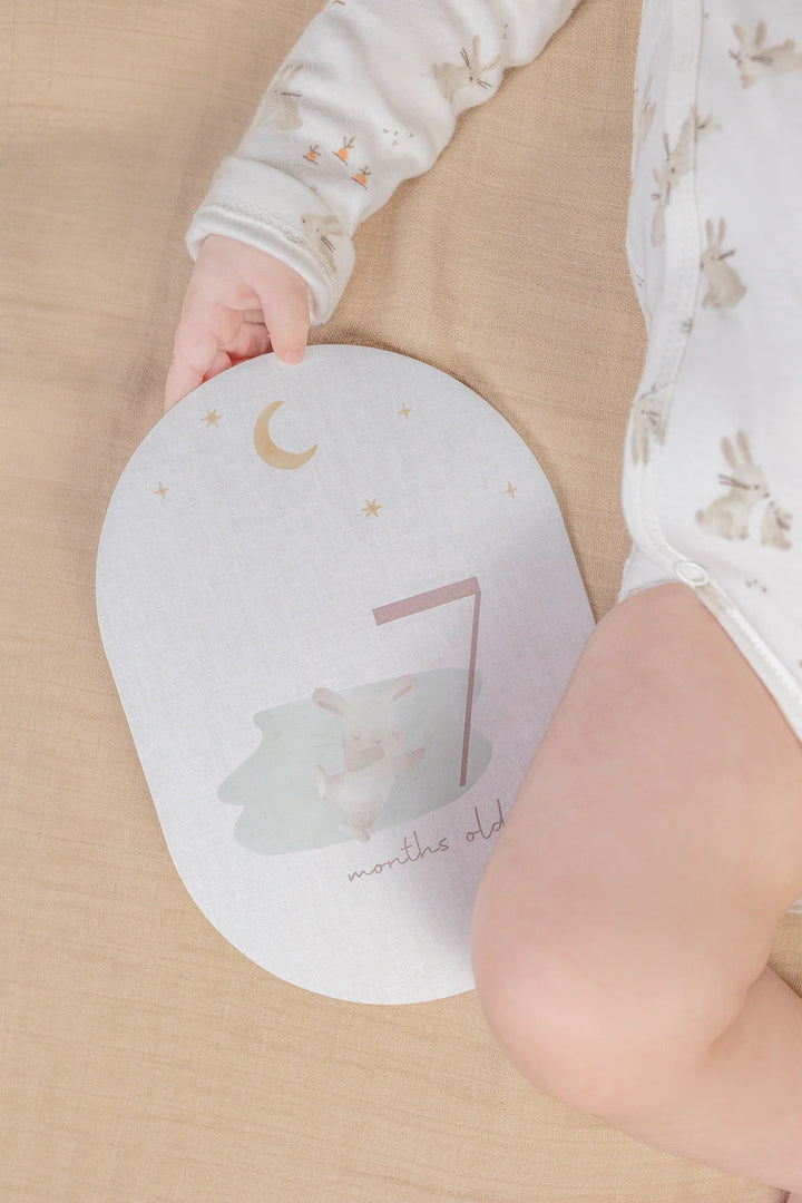 Little Dutch Baby Bunny Milestone Card Set