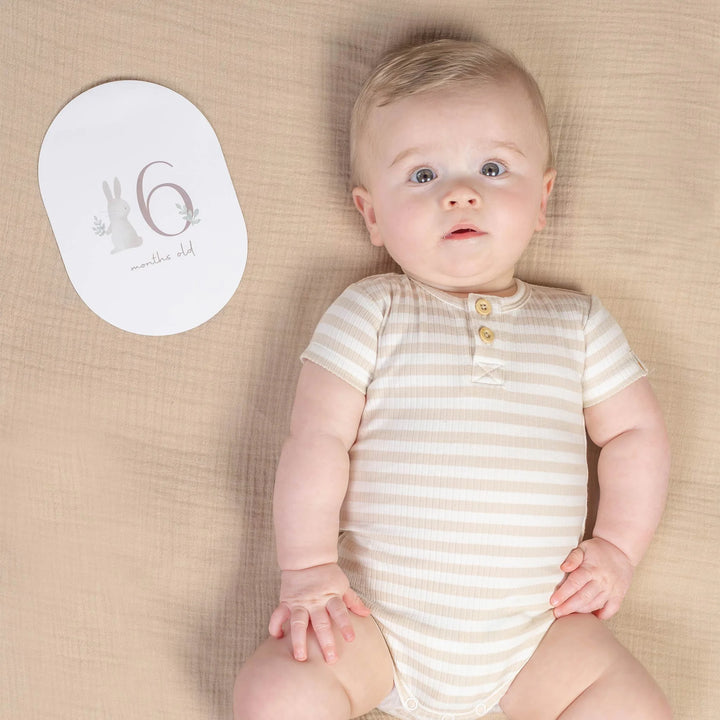 Little Dutch Baby Bunny Milestone Card Set