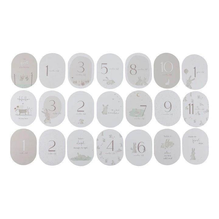 Little Dutch Baby Bunny Milestone Card Set