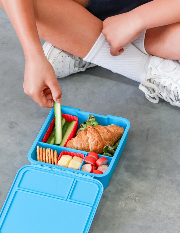 Montiico Bento Three Lunch Box - Coastal