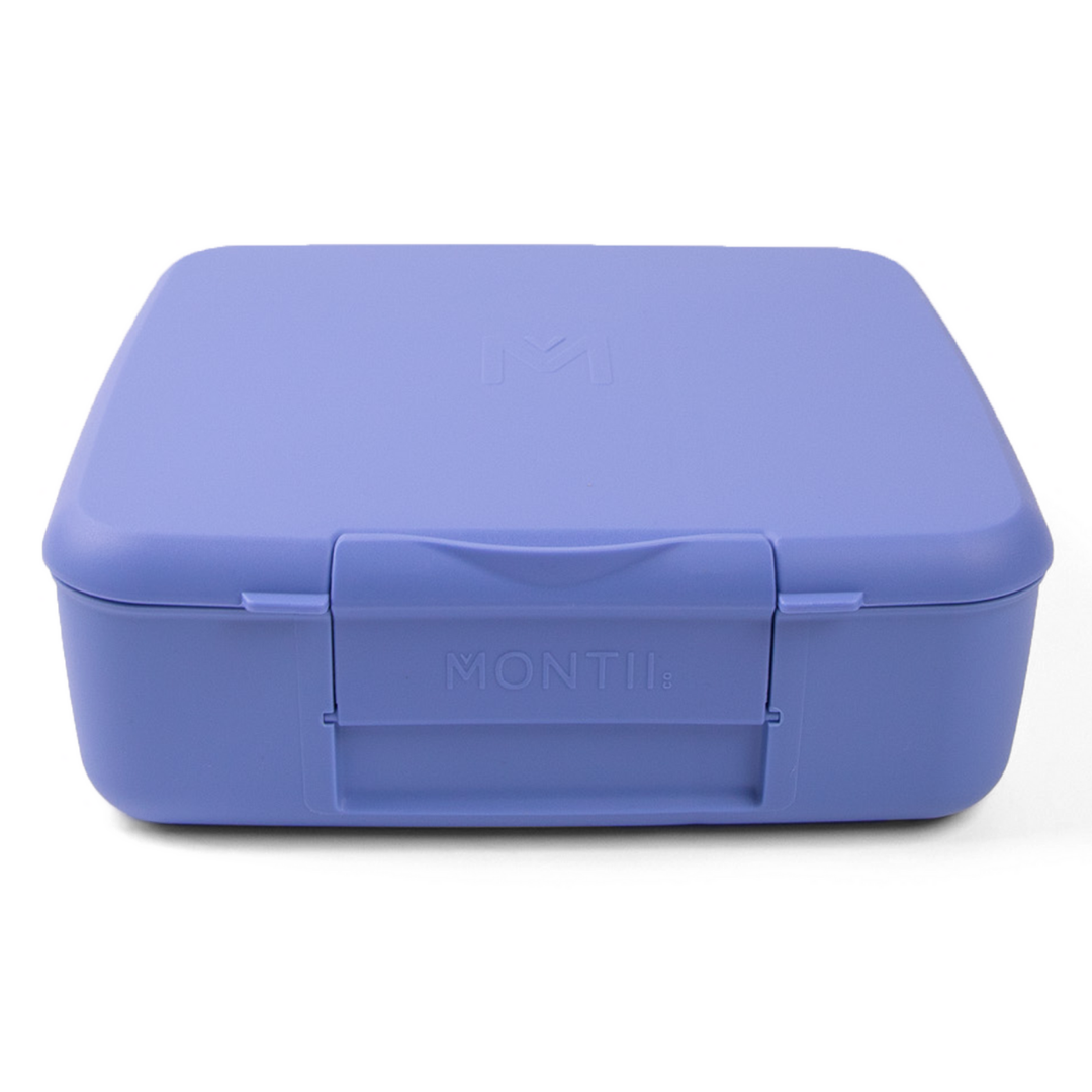 Montiico Feast Bento Lunch Box - Splash