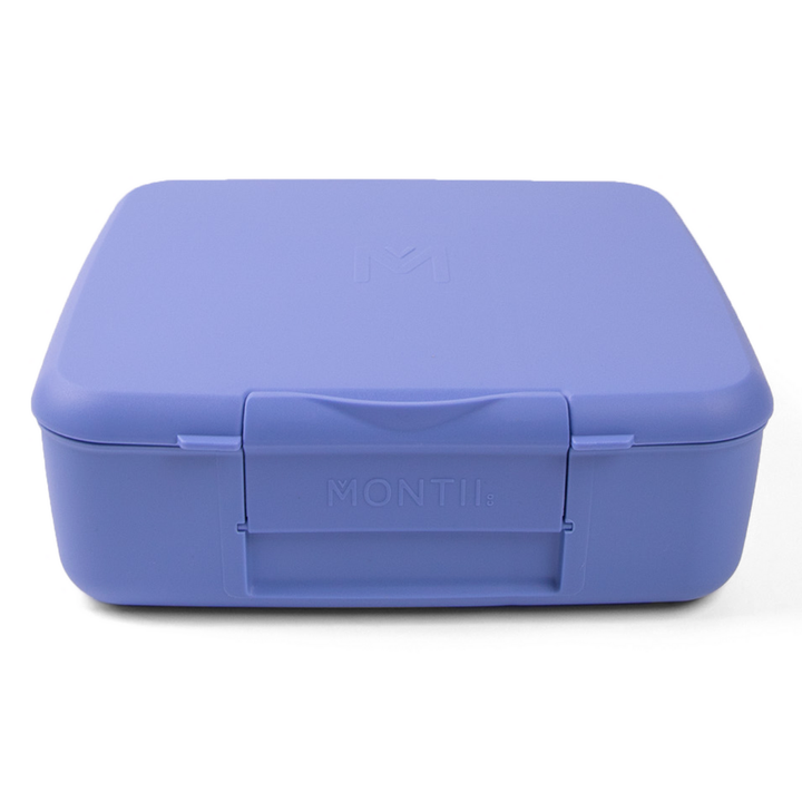 Montiico Feast Bento Lunch Box - Splash