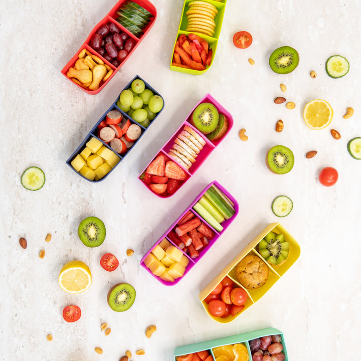 Montiico Feast Silicone Bento Lunch Trays - Assorted