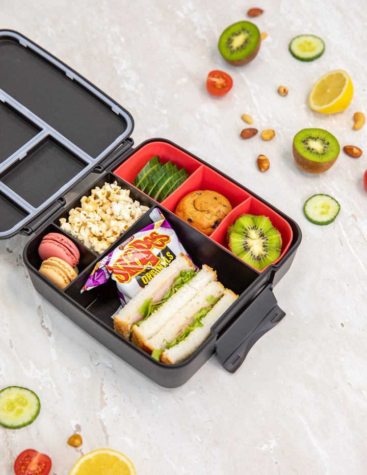 Montiico Feast Bento Lunch Box - Midnight