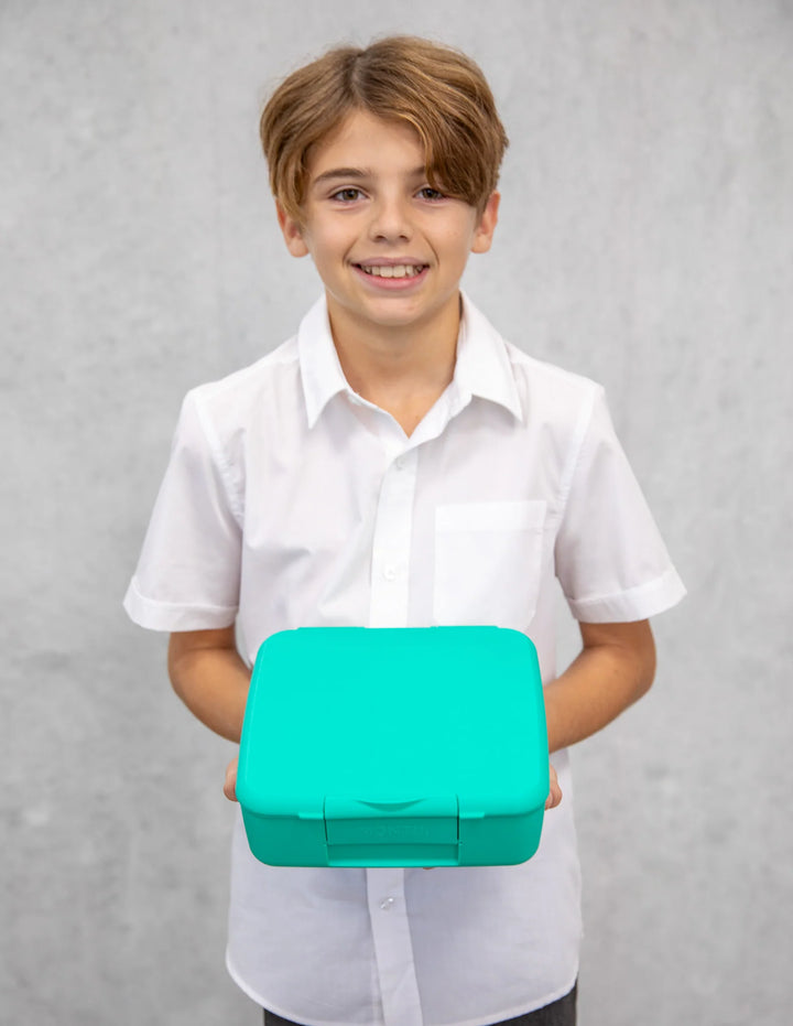 Montiico Feast Bento Lunch Box - Mojito