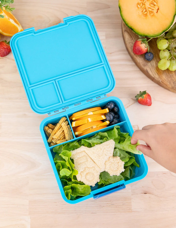 Montiico Bento Three Lunch Box - Coastal