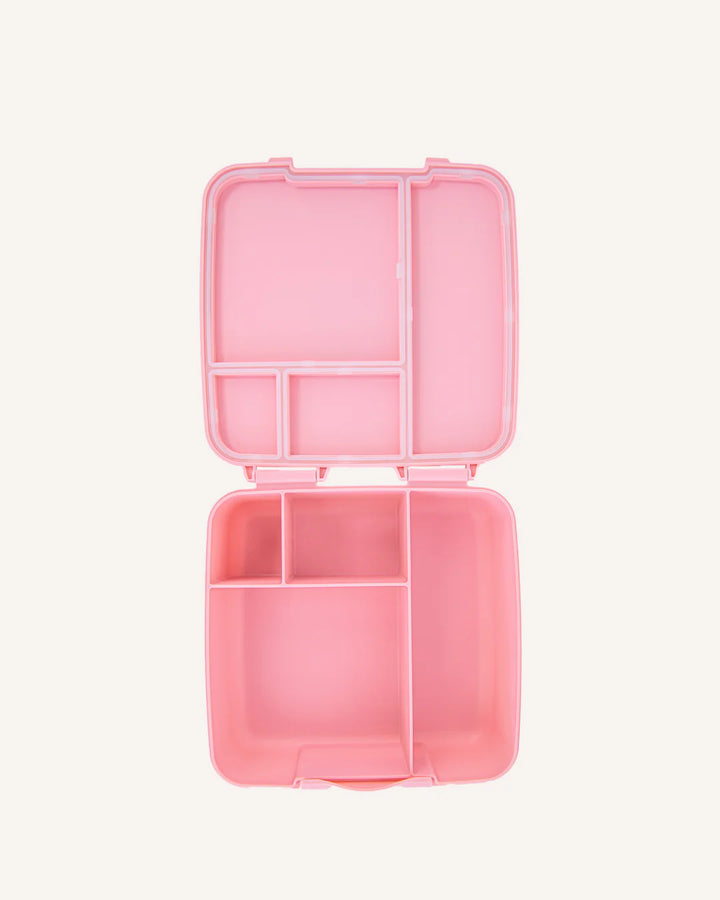Montiico Feast Bento Lunch Box - Dahlia