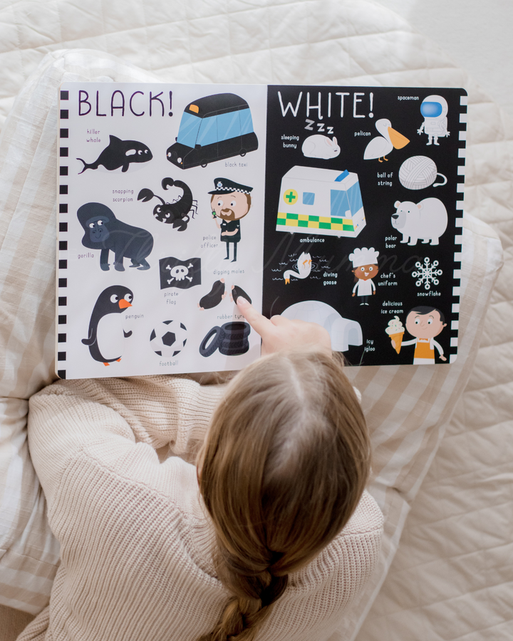 My Enormous Book of Colours Jumbo Board Book