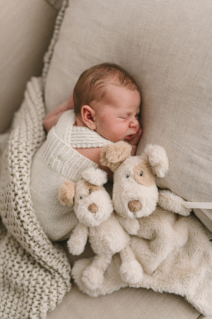 Nana Huchy Buddy the Dog Rattle