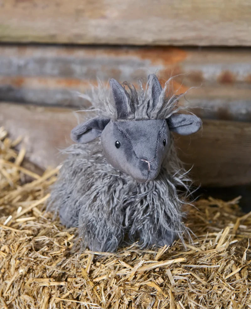 Nana Huchy Aiden the Angora Goat
