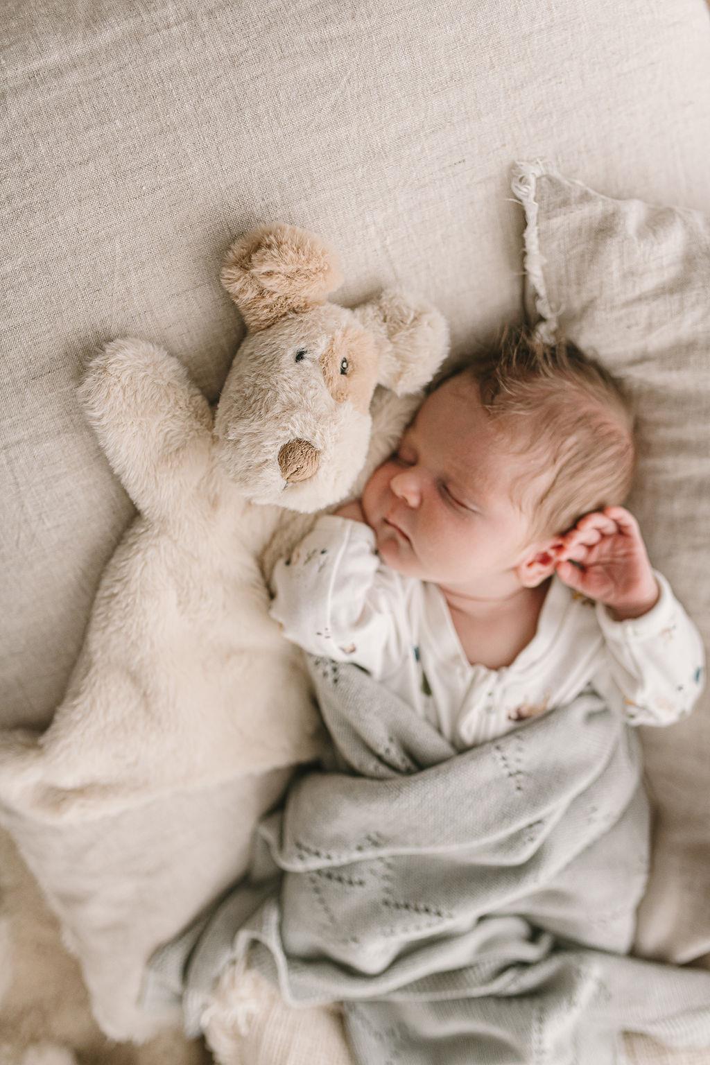 Nana Huchy Hoochy Coochie - Buddy the Dog