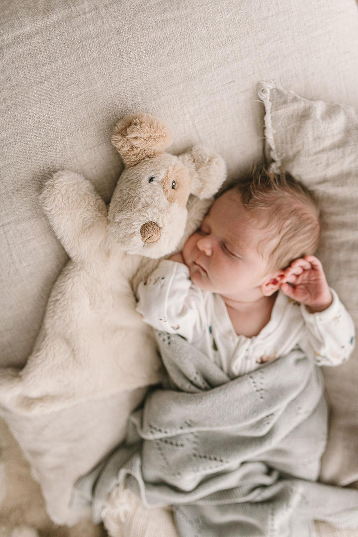 Nana Huchy Hoochy Coochie - Buddy the Dog