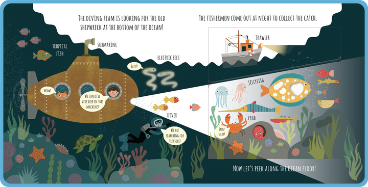 Peek Inside In The Ocean Board Book