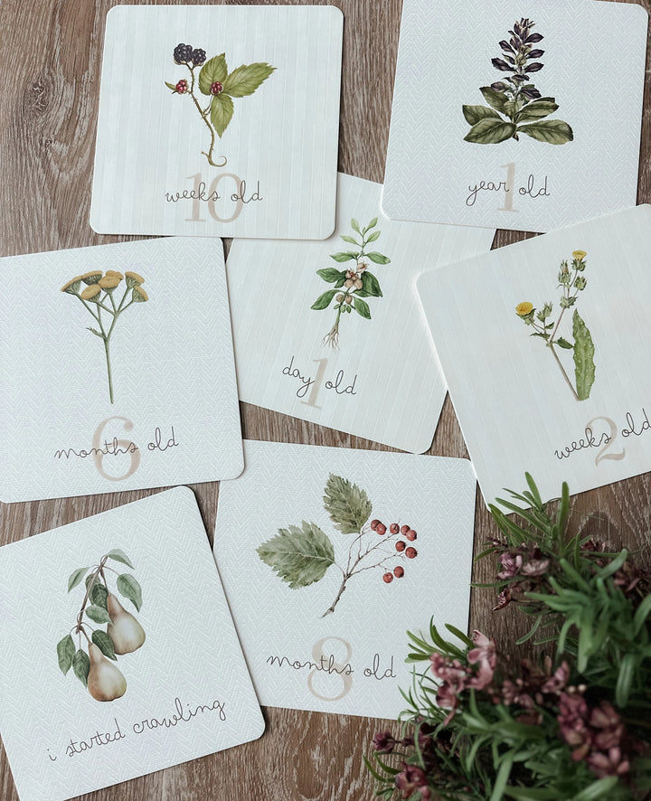 Pop Ya Tot Botanical Milestone Card Set