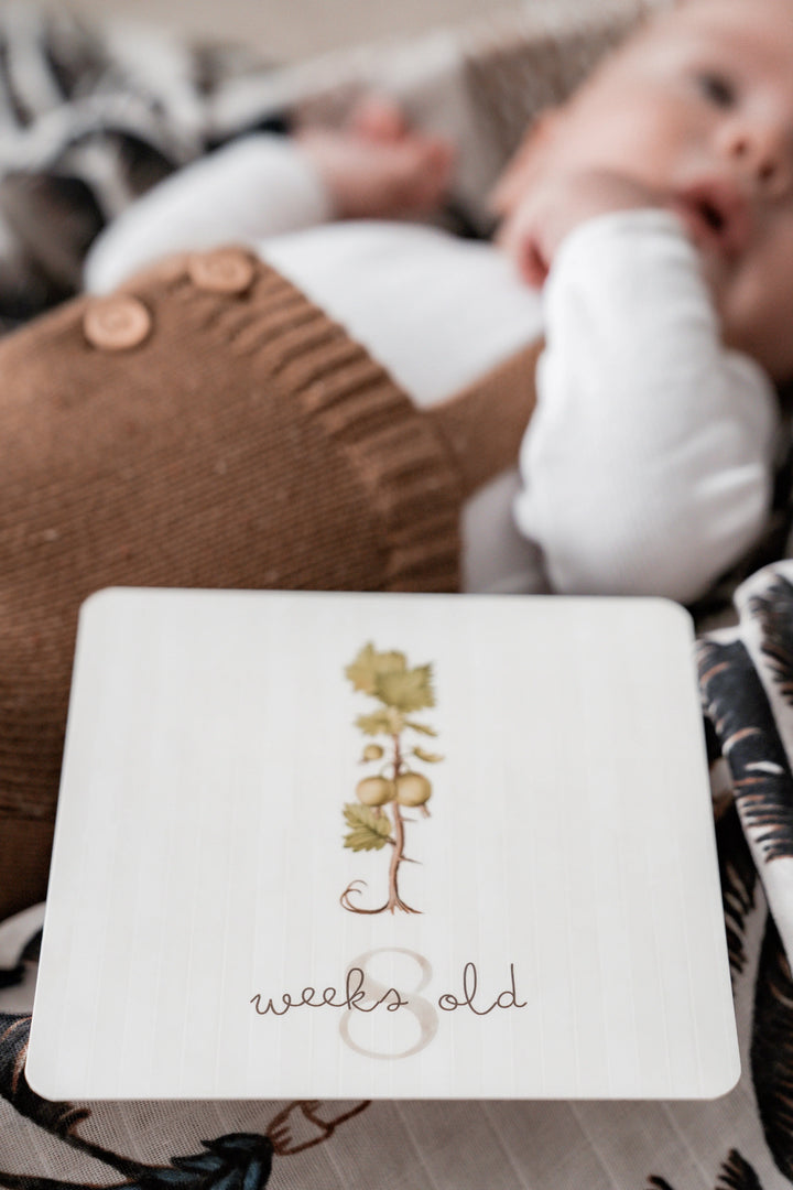 Pop Ya Tot Botanical Milestone Card Set