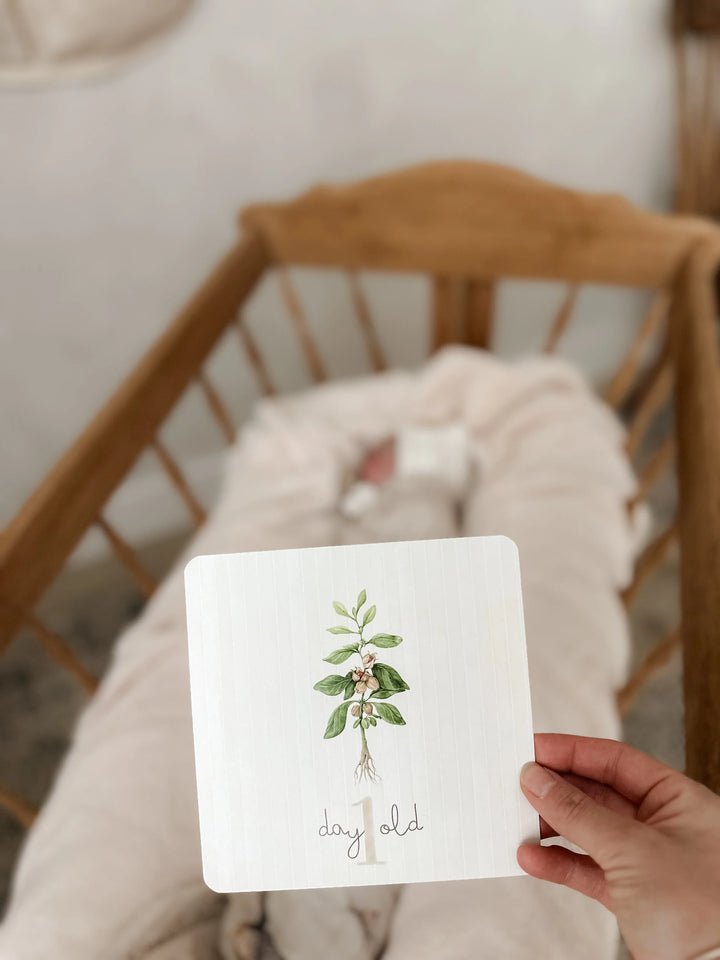 Pop Ya Tot Botanical Milestone Card Set