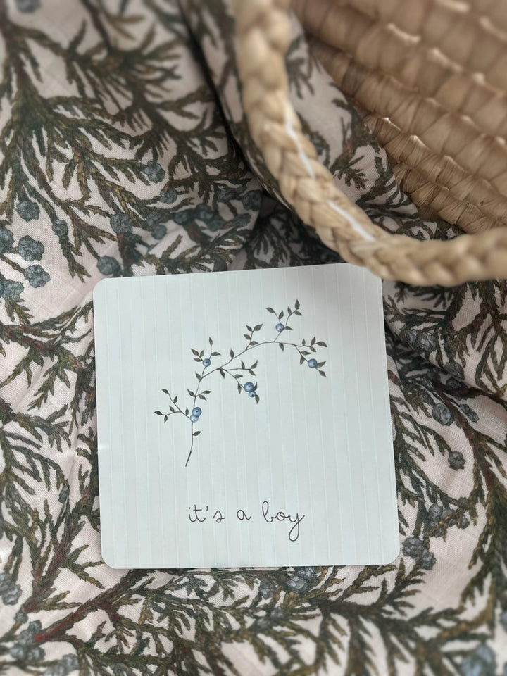 Pop Ya Tot Botanical Milestone Card Set