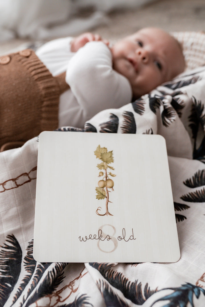 Pop Ya Tot Botanical Milestone Card Set