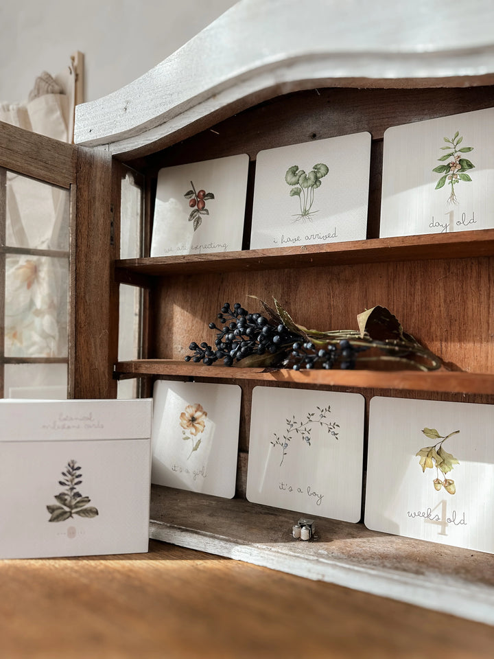 Pop Ya Tot Botanical Milestone Card Set