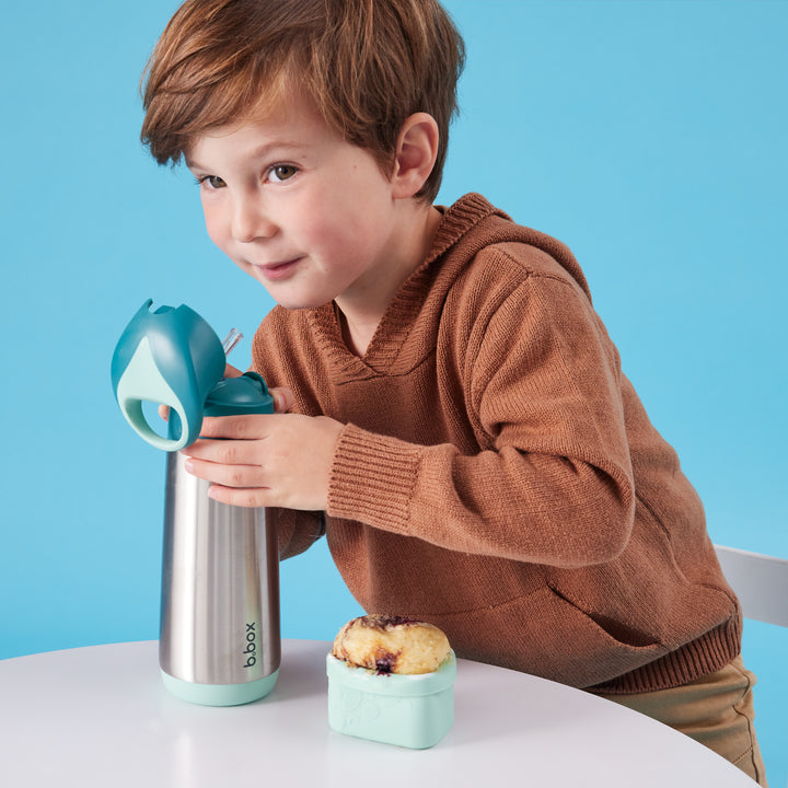 bbox Insulated Drink Bottle Sipper Lid 500ml - Assorted