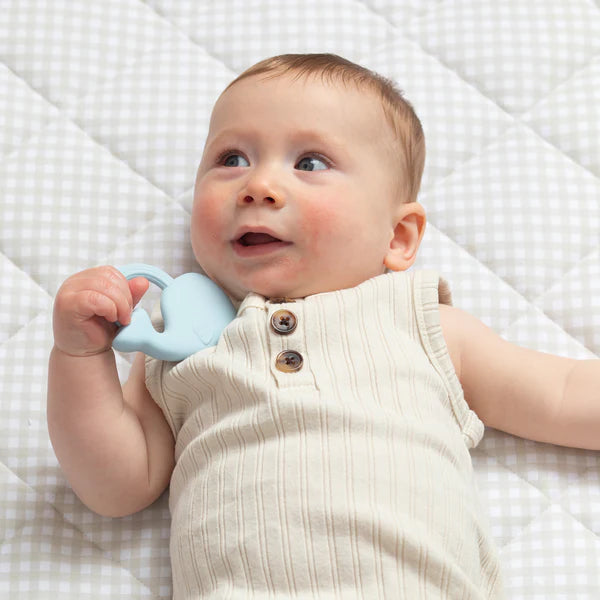 Silicone Teether 2 Pack - Cloud & Whale