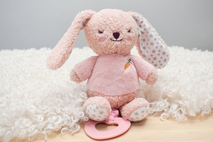 Snuggle Buddy Berry Bunny Jiggle & Shake Clip Toy