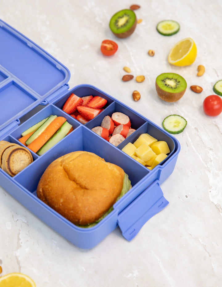 Montiico Feast Bento Lunch Box - Splash