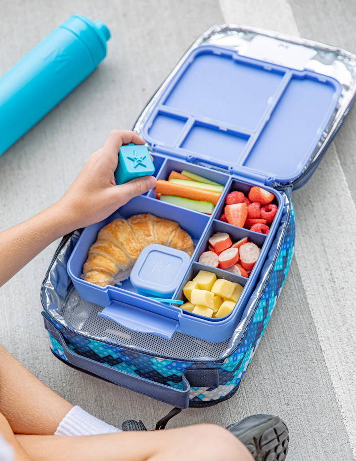 Montiico Feast Bento Lunch Box - Splash
