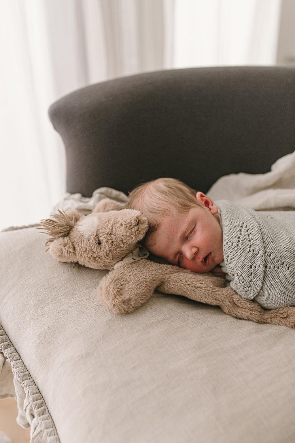 Nana Huchy Hoochy Coochie - Harvey the Horse