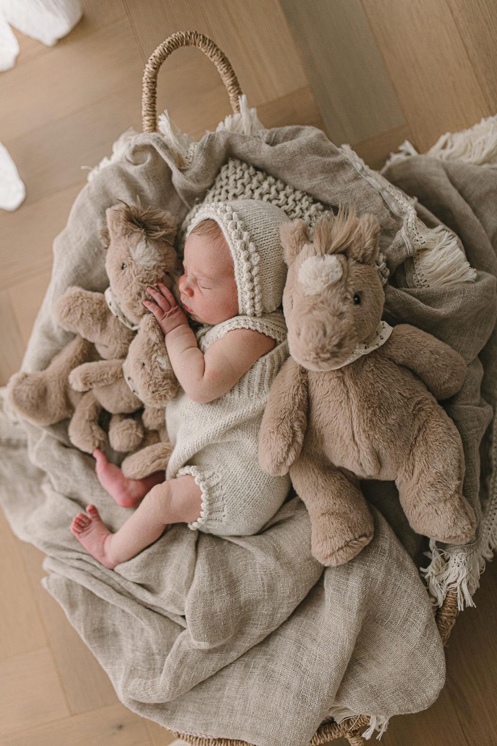 Nana Huchy Hoochy Coochie - Harvey the Horse